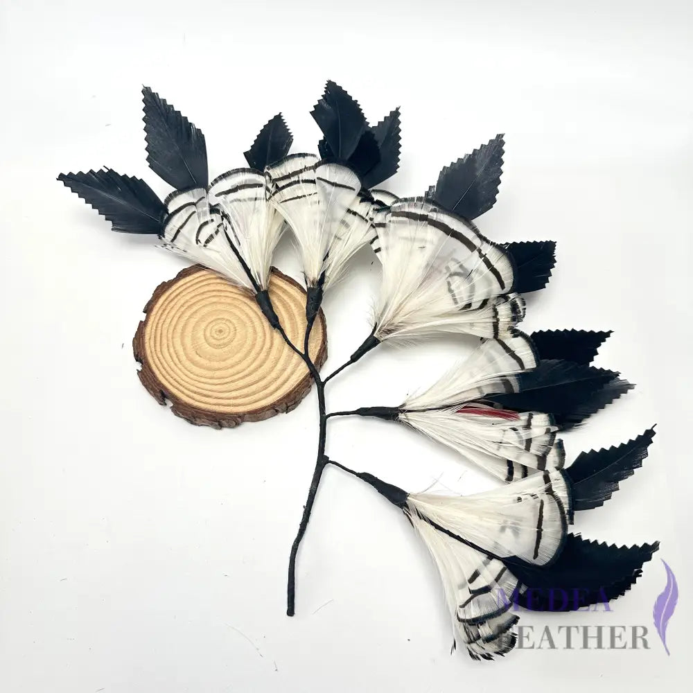 Zigzag Goose Feather & White Lady Amherst Pheasant Feather Mount Custom - Please add text below