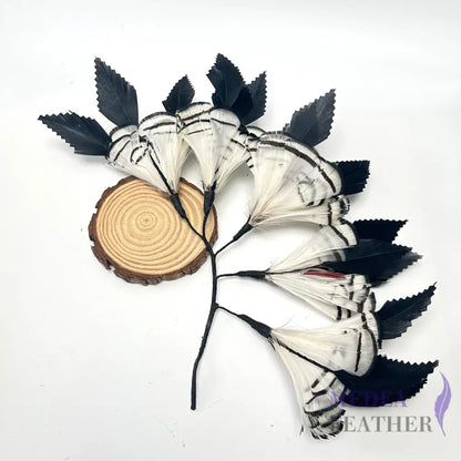 Zigzag Goose Feather & White Lady Amherst Pheasant Feather Mount Custom - Please add text below