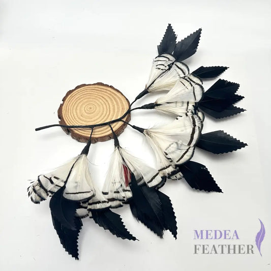 Zigzag Goose Feather & White Lady Amherst Pheasant Feather Mount Custom - Please add text below