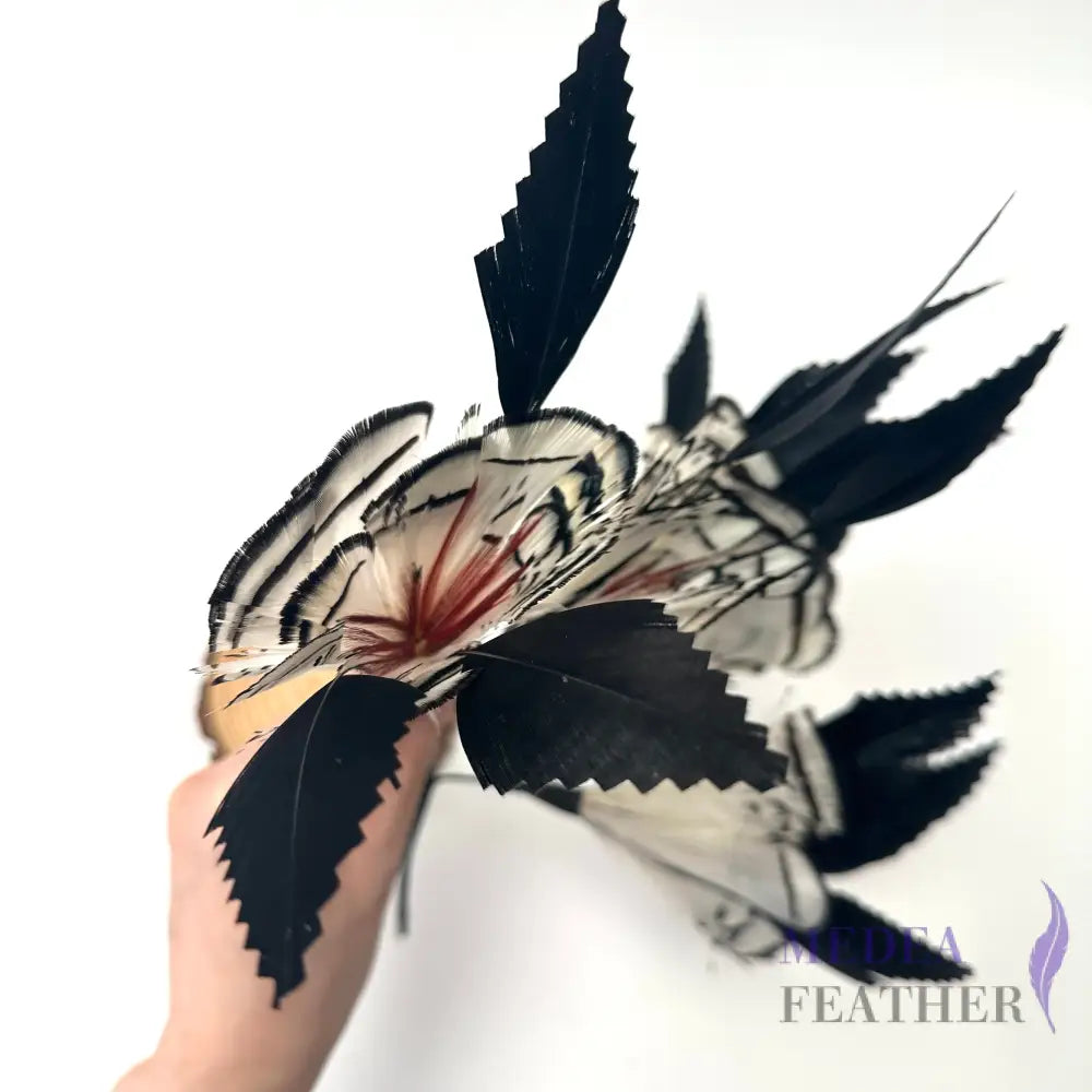 Zigzag Goose Feather & White Lady Amherst Pheasant Feather Mount Custom - Please add text below